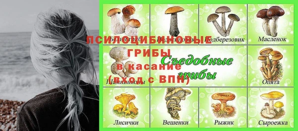 спиды Михайлов