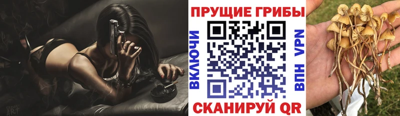 mega маркетплейс  закладка  Обнинск  Псилоцибиновые грибы мицелий 